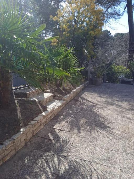 Maison Au Dessus Du Lac De Biscarrosse Exterior foto