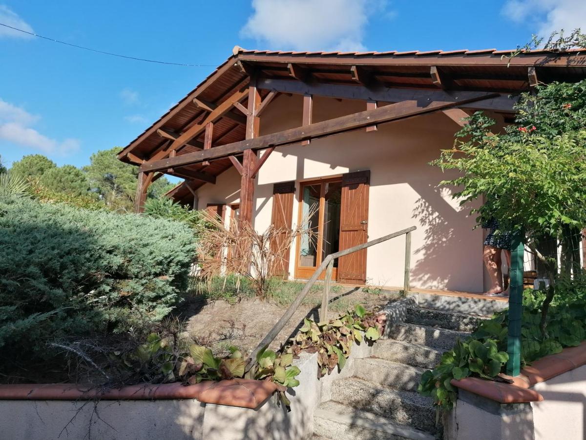 Maison Au Dessus Du Lac De Biscarrosse Exterior foto